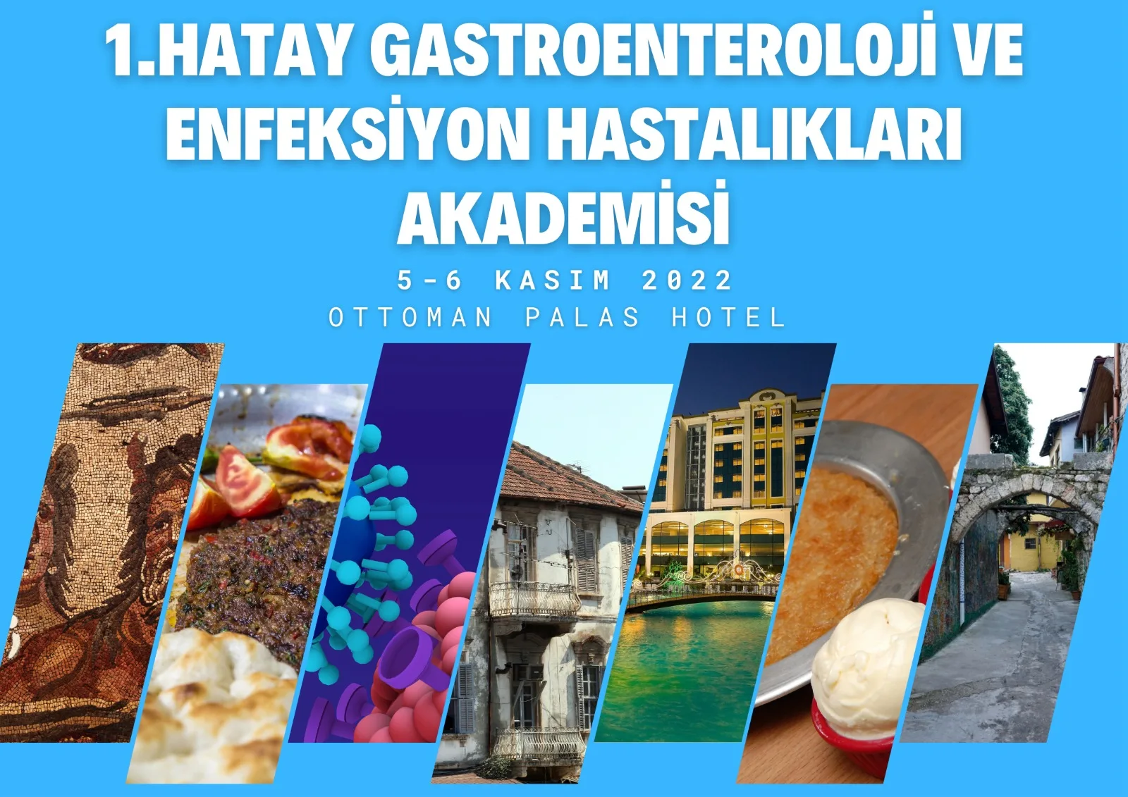 1.Hatay Gastroenteroloji ve Enfeksiyon Hastalıkları Akademisi
